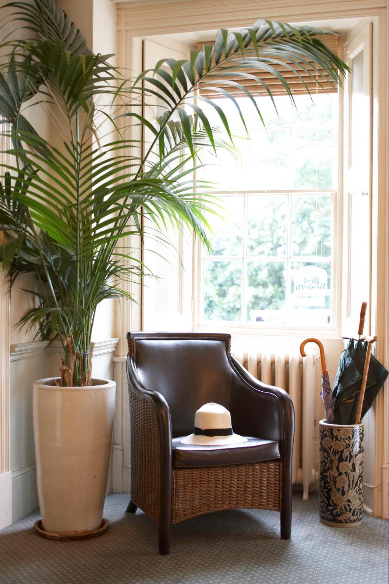 Flackley Ash Country House Hotel Peasmarsh Luaran gambar